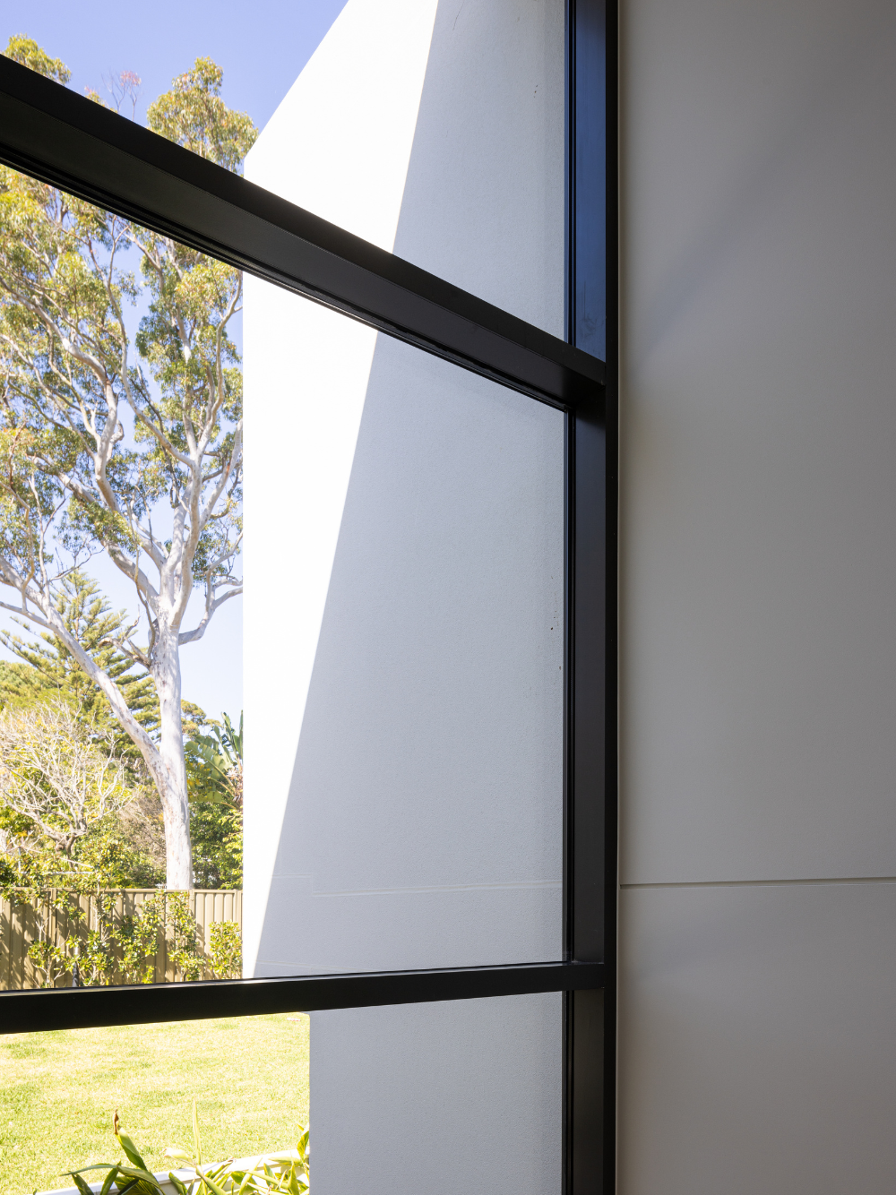 213_Lilli-Pilli_704_IMAGE6