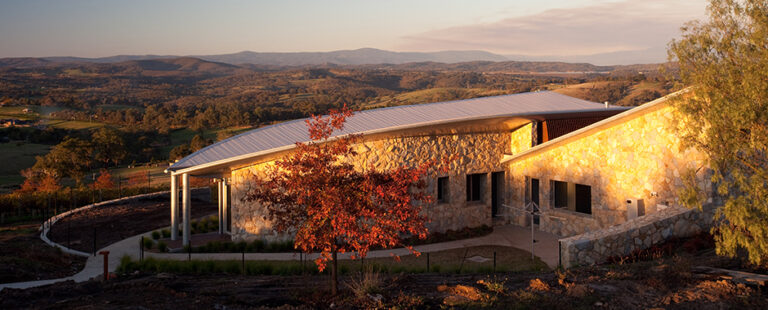 Kangaroo_hero_banner