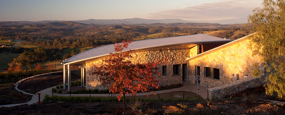 Kangaroo_hero_banner