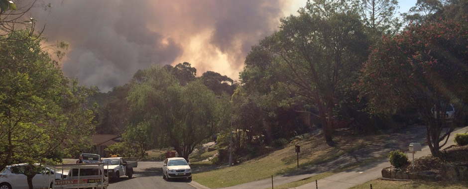 bushfire-hero-banner